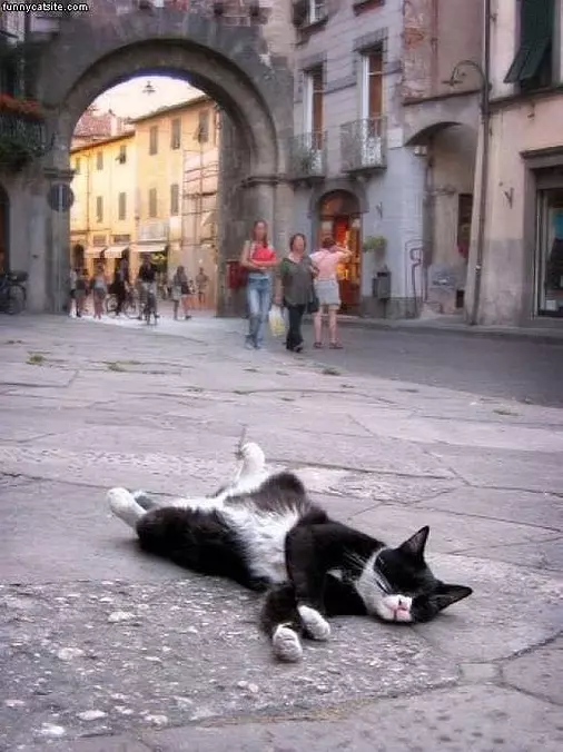 I Sleep Where I Want