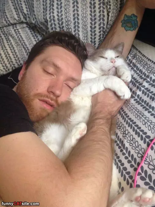 I Am A Pillow