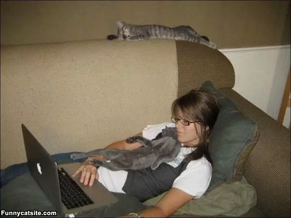 Some Sleepy Cats