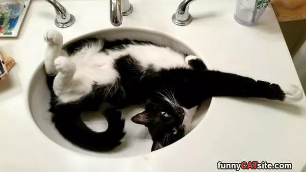 In The Bowl