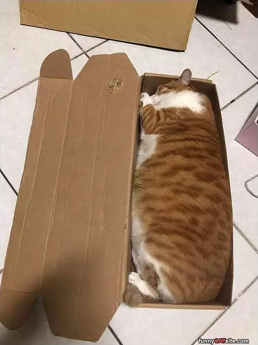 In This Box