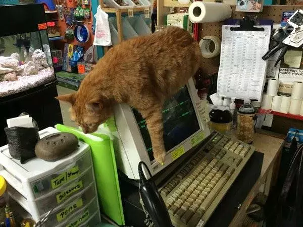 You Understand Me Computer