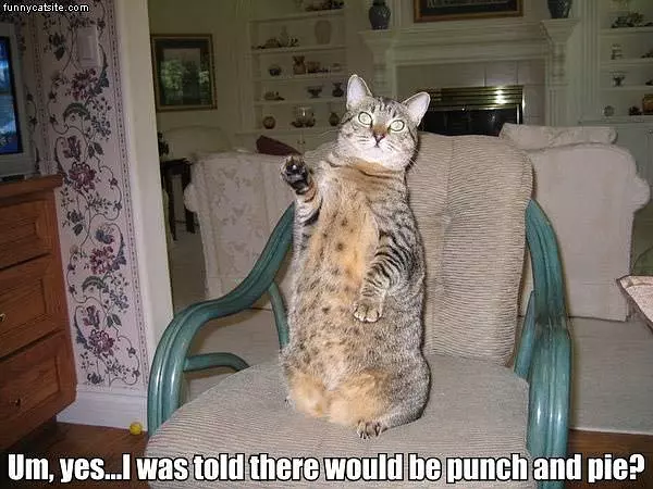 Punch And Pie