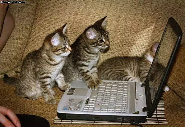 Internets