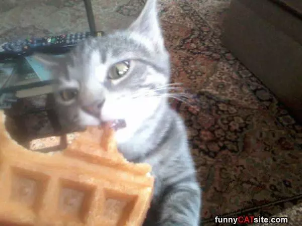 One More Bite
