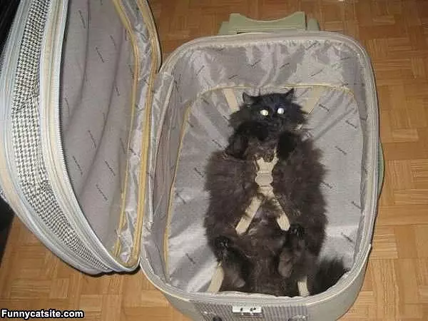 Ready For Our Trip