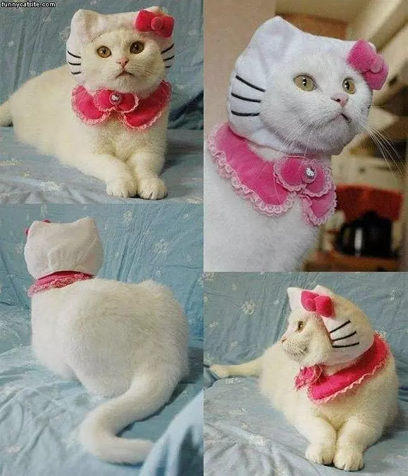 Nice Costume
