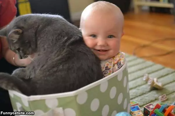 Sitting With The Cat
