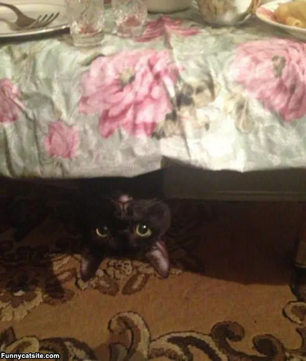 Monster Under The Bed