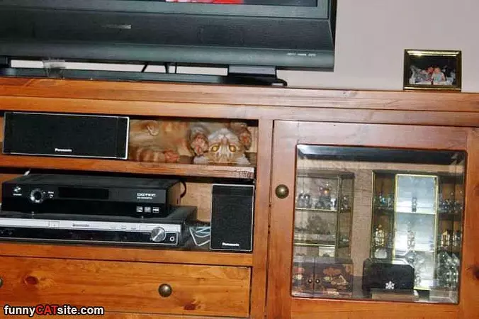 Just Checking Stuff Out