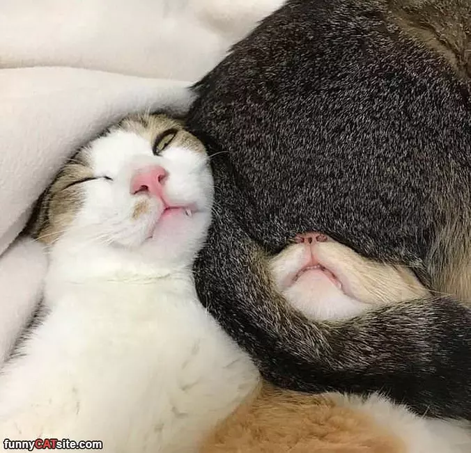 Relaxing Together Today