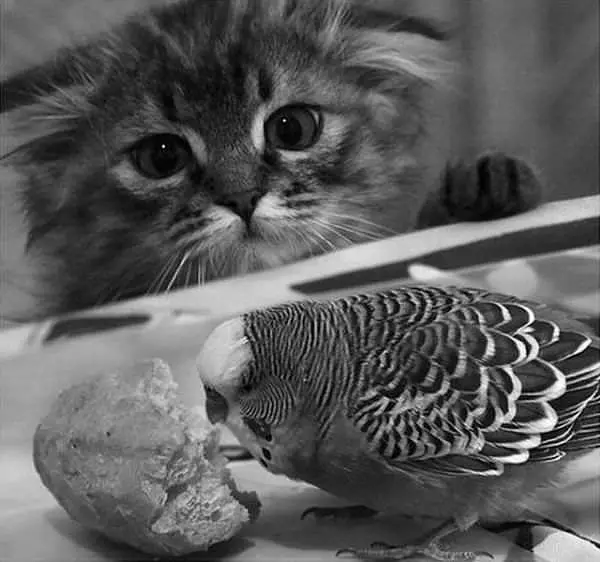 Will You Share That
