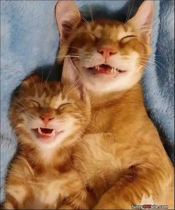 We Are Soooo Sleepy