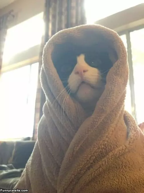 All Robed Up
