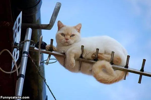 My Hangout Spot
