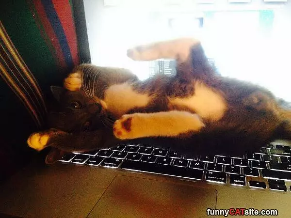 Laying Around