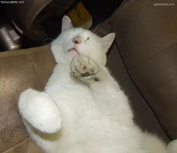 I Are Sleep