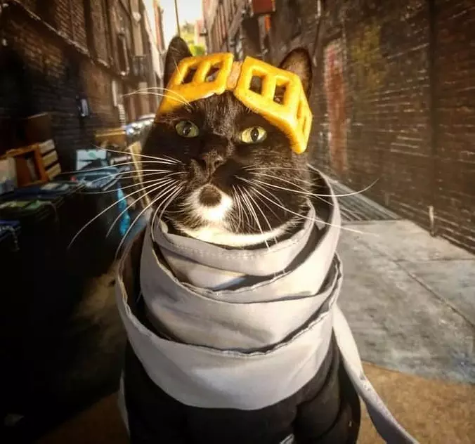 I Am The King Now