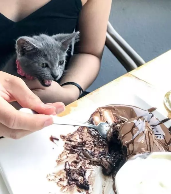 You Need To Share