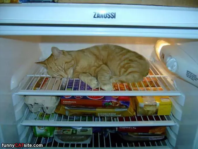 Cooling Off A Bit