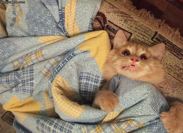 Something Scary Happened