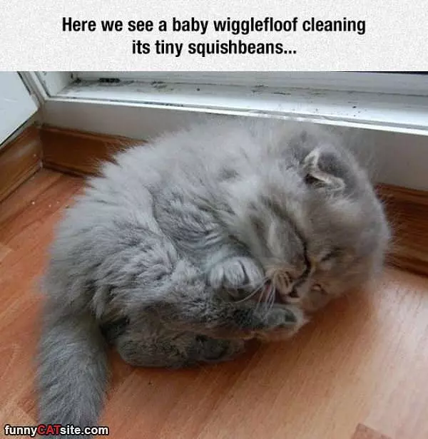 Baby Wigglewoof