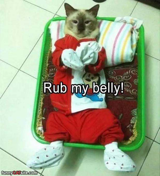 Rub My Belly