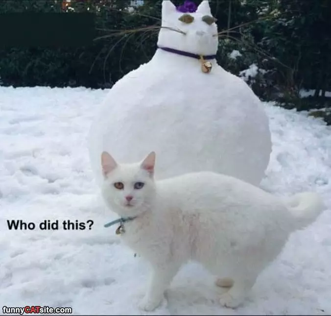 Who Did This