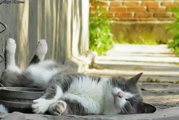 Nap Time Now