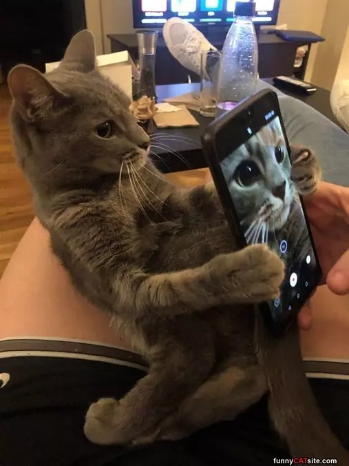 Heyyyy