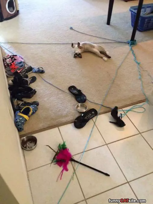 Laying Around