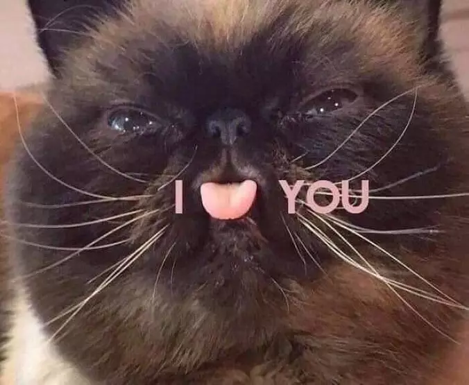Hearts You