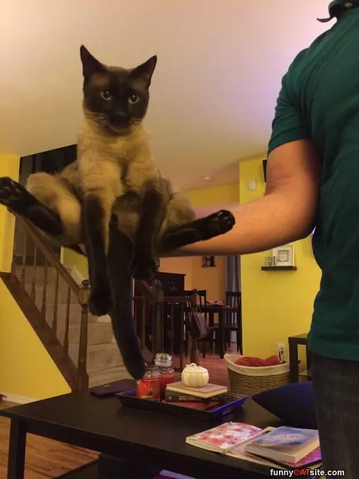 I Sit Like This