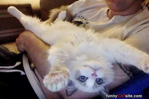 So Comfortable