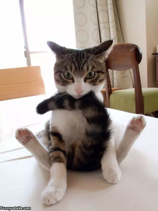 How I Sits