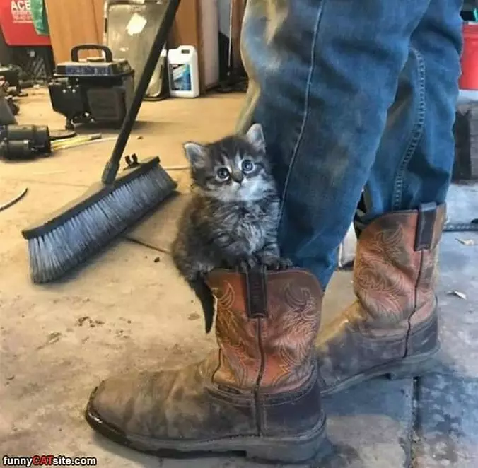 My Boots