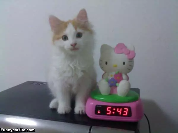 My Alarm Clock