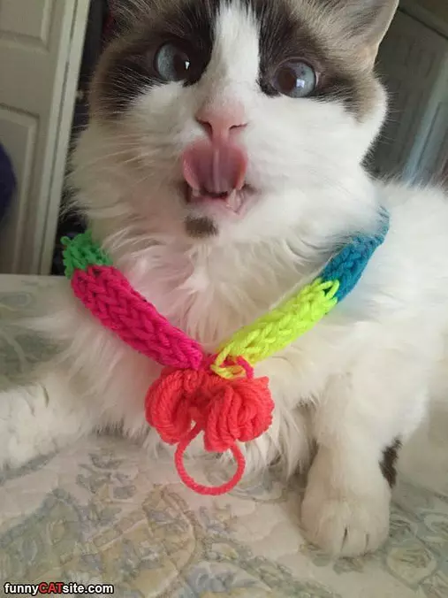 Lickkkkkk