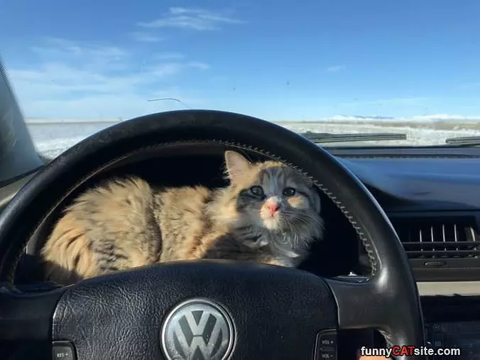Going For A Ride