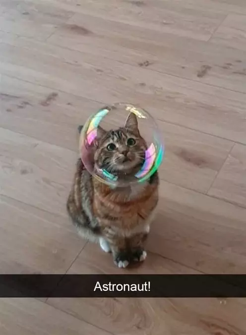 My Bubble Helmet