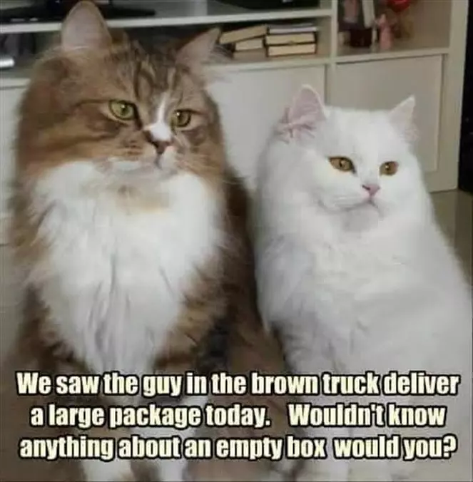 We Saw That Guy And We Know