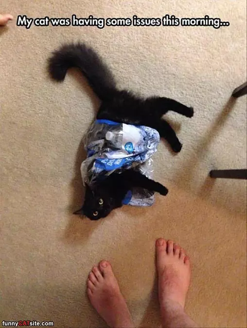 Having Some Issues