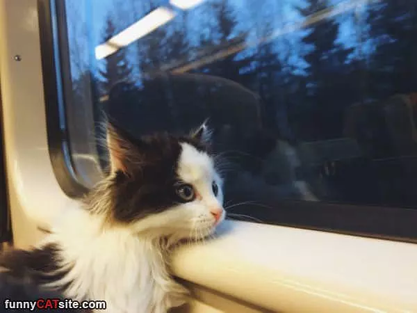 Subway Ride