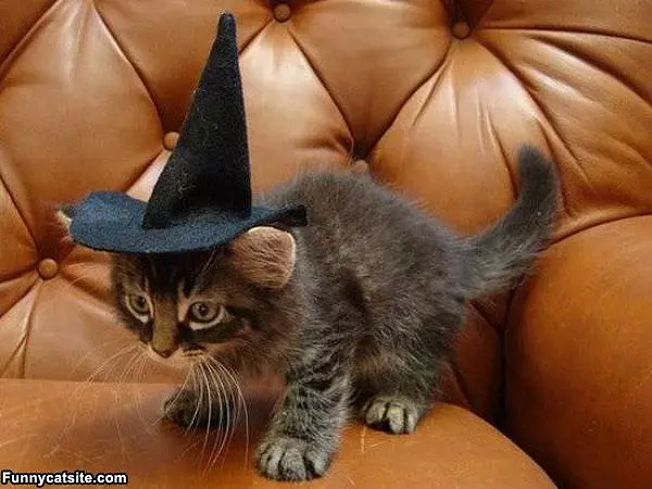 Im A Witch
