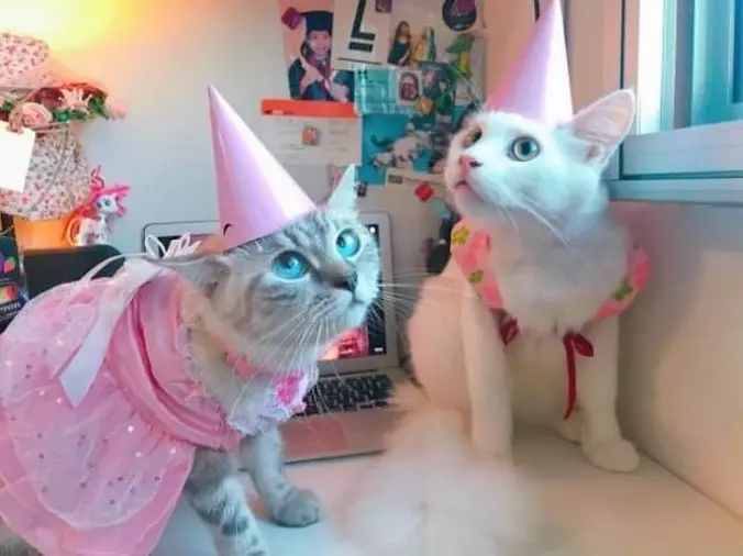 We Are At A Party