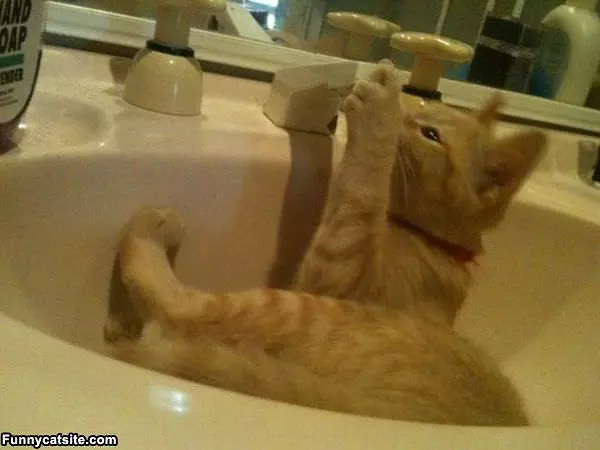 I Wants Some Water
