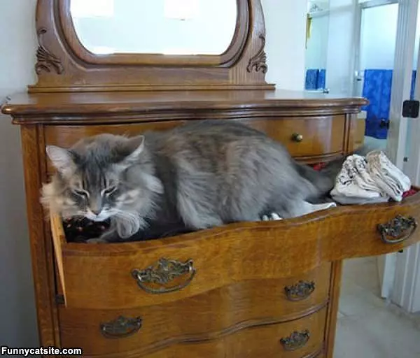 My Drawer