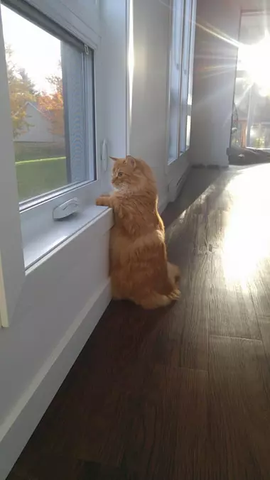 Looking Outside Now