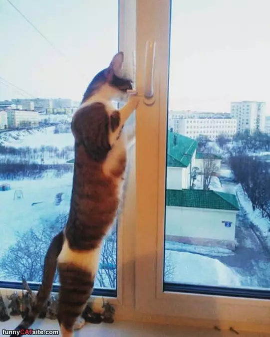 Time To Go Out
