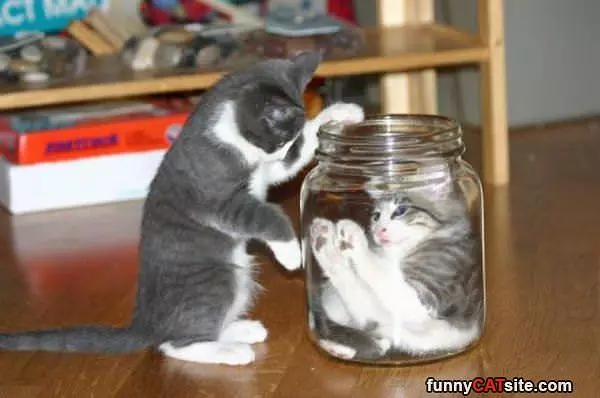 We Are Doing Magic Tricks